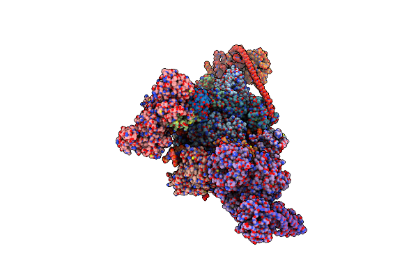 7OPD image