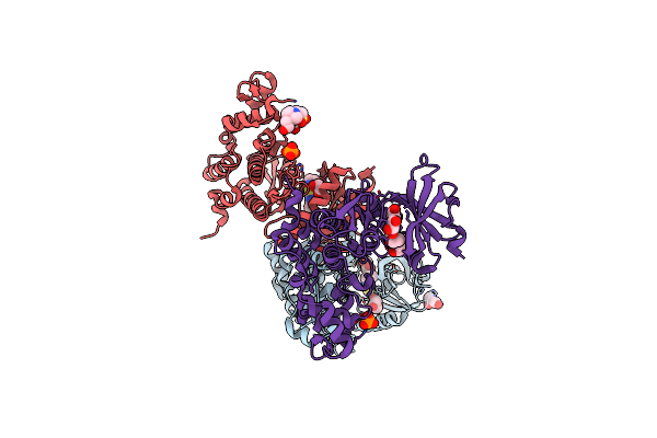 7OPG image