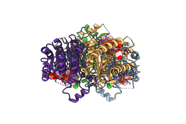 7OPJ image