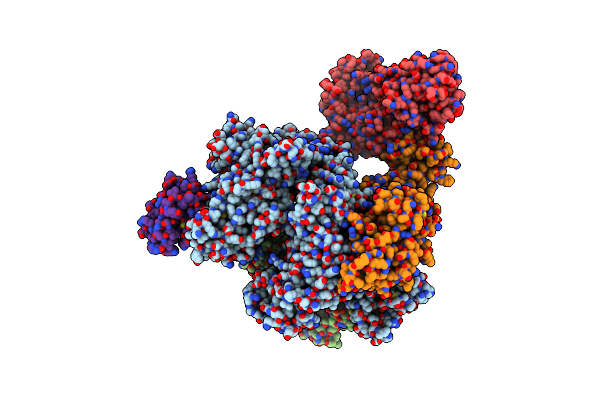 7OPL image