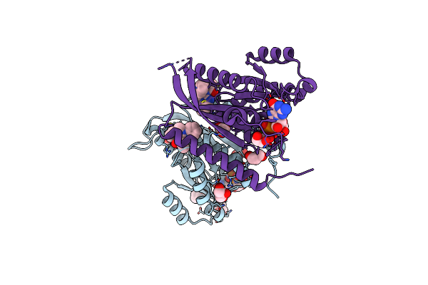 7OPR image