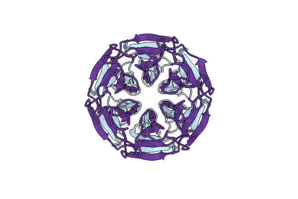7OPV image
