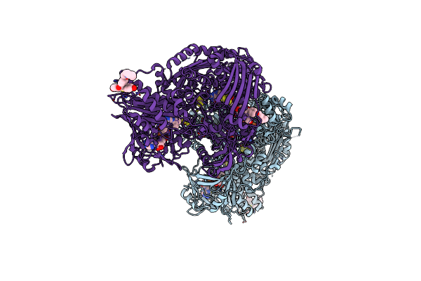 7ORC image