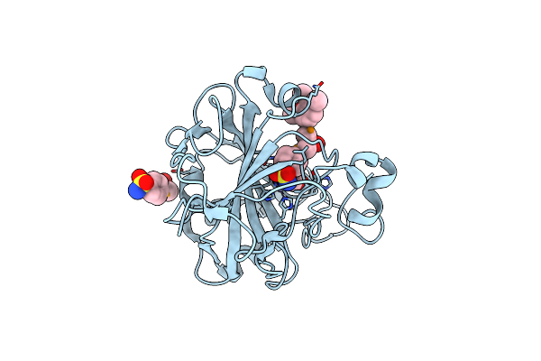 7ORP image