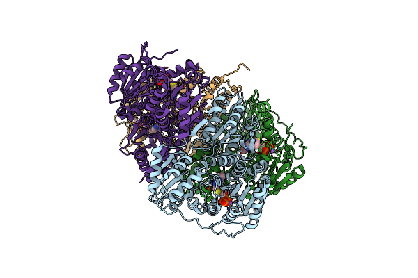 7ORX image