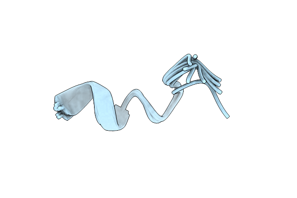 7OSD image