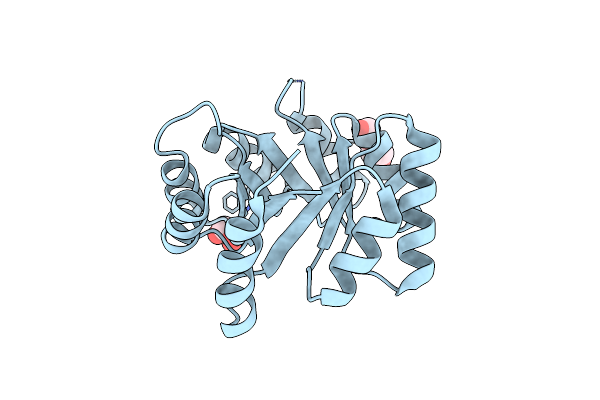 7OSU image