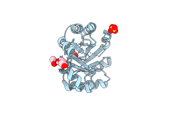 7OSV image