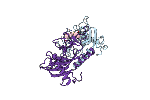 7OTF image