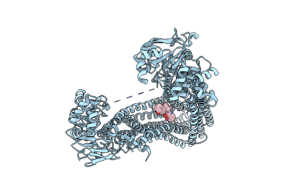 7OTG image