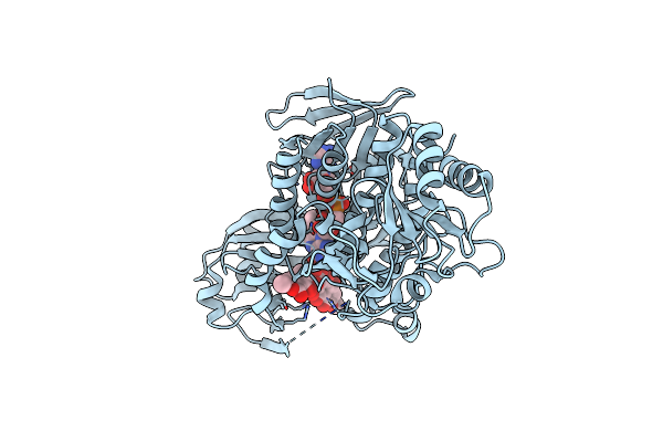 7OUD image