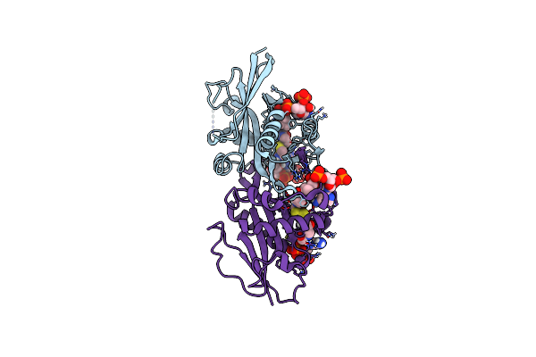 7OVV image