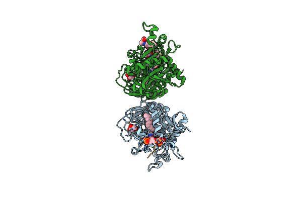 7OWP image