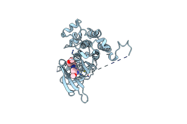 7OXB image