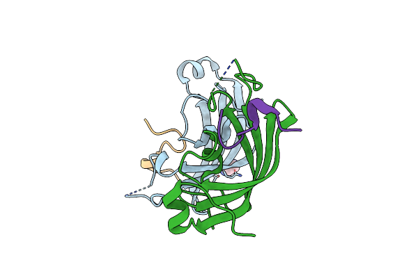 7OXG image