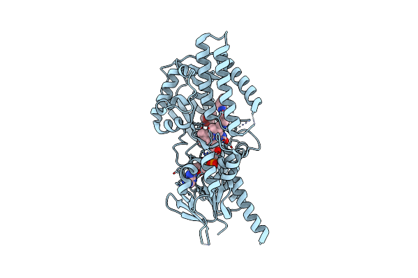 7OXL image