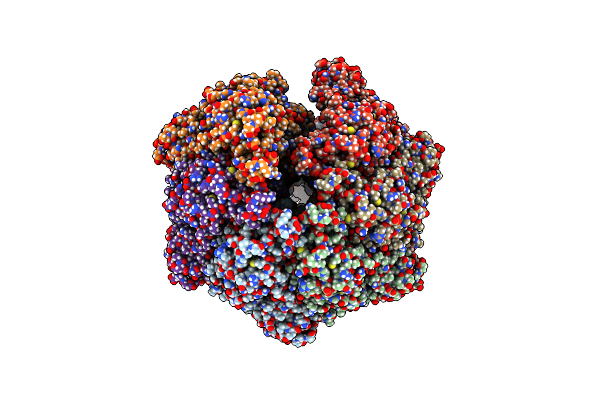 7OXO image