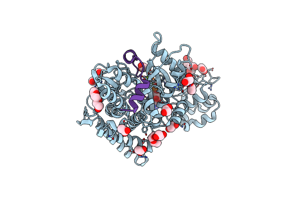 7OXY image