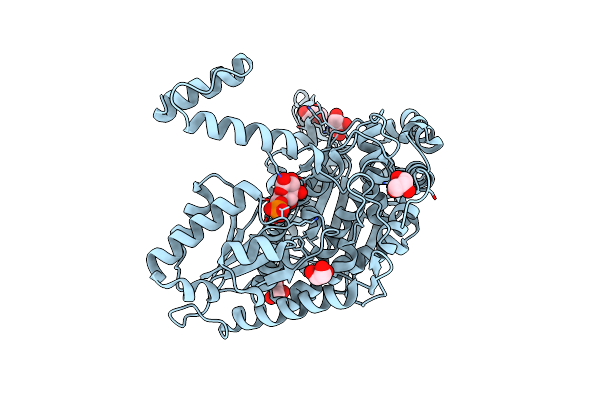 7OYL image