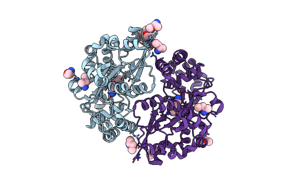 7OYV image
