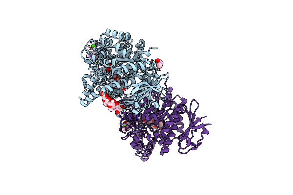 7P01 image