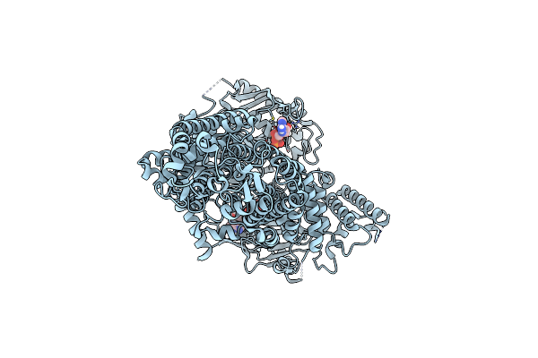 7P04 image