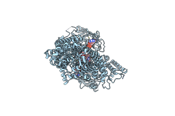 7P05 image