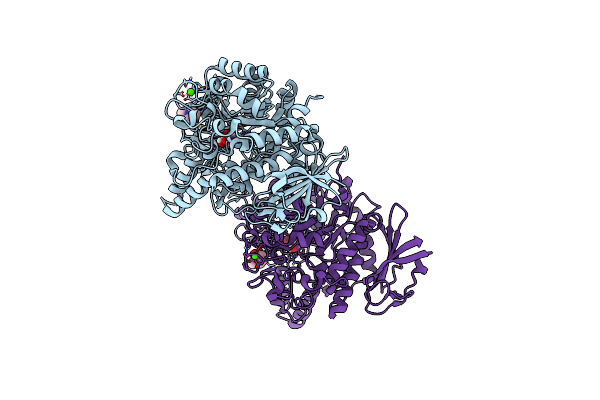 7P07 image