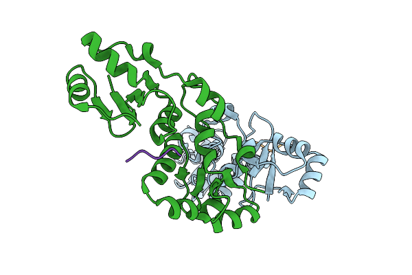 7P0L image