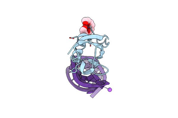 7P0V image