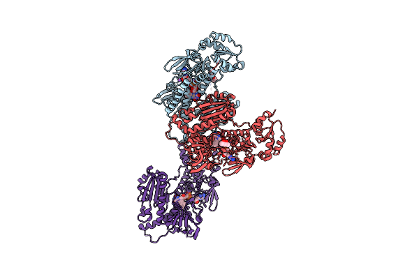 7P0X image