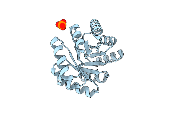 7P12 image