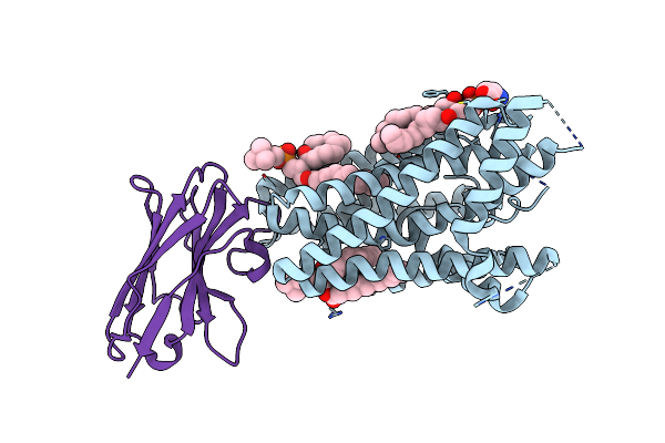 7P14 image