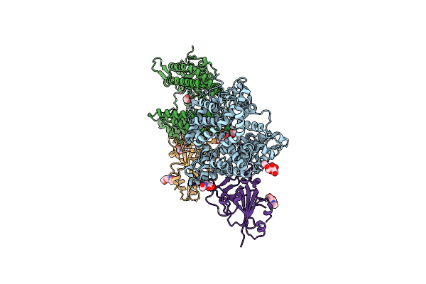 7P19 image
