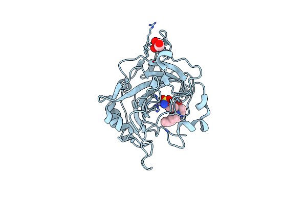 7P1A image