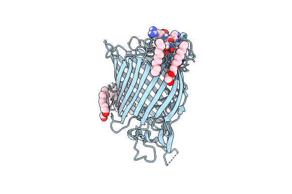 7P1C image