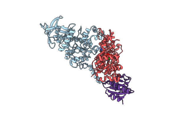 7P1H image