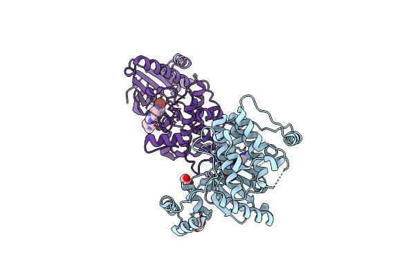 7P1L image