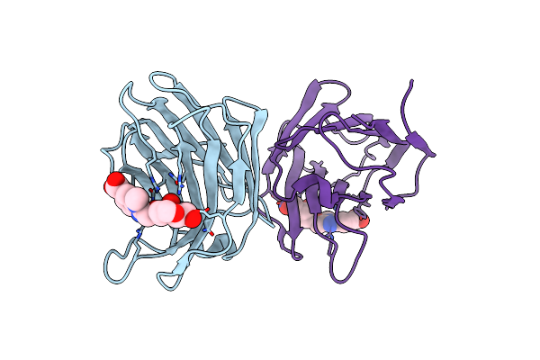7P1M image