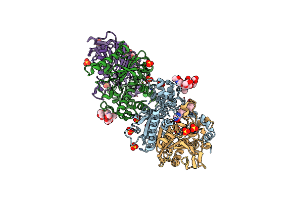 7P1P image