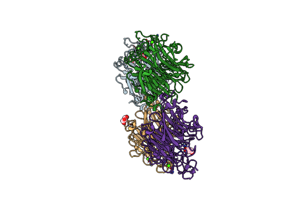 7P1V image