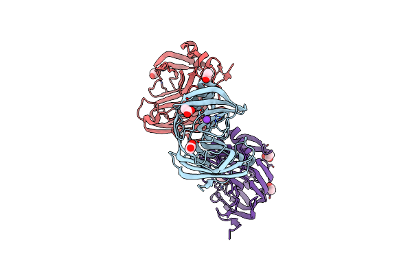 7P1Z image