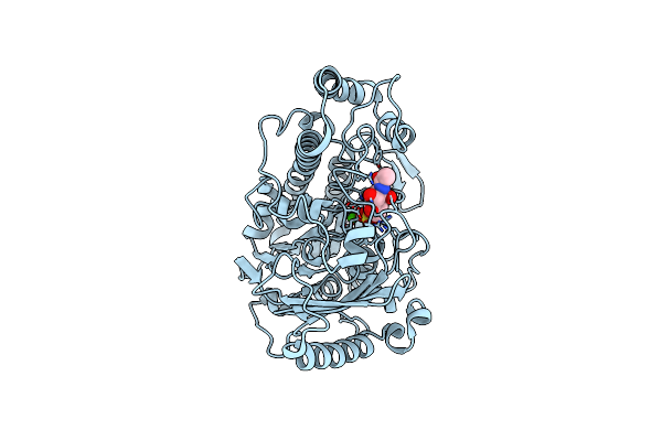 7P24 image