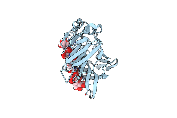 7P25 image