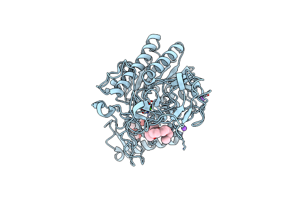 7P26 image