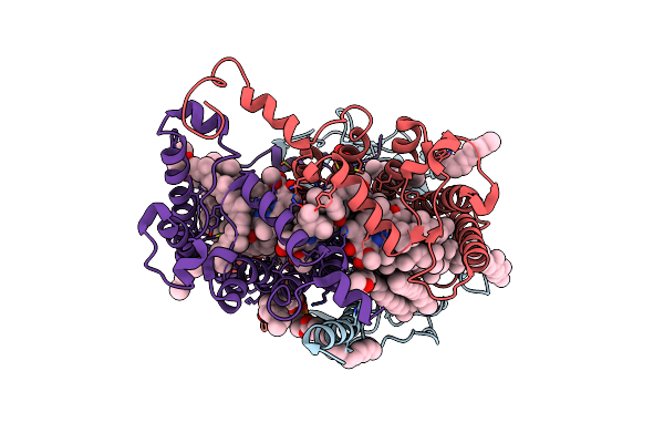 7P2C image
