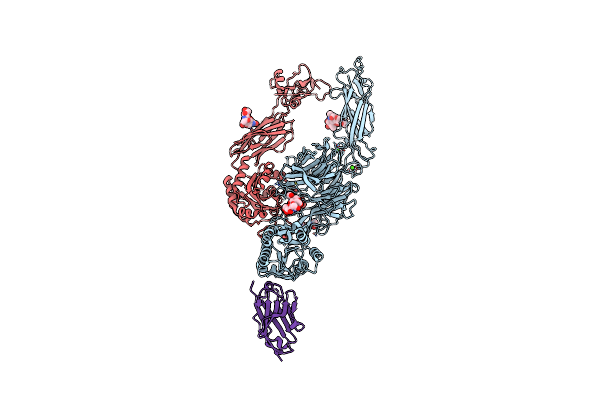 7P2D image