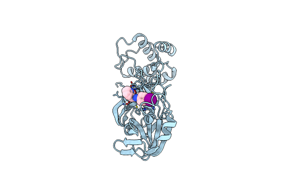 7P2G image