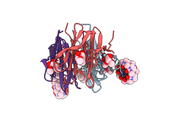 7P2I image