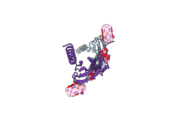 7P2J image